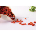 Goji Berry OEM Fournisseur